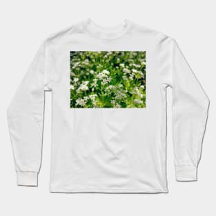 Tender woodruff flower Long Sleeve T-Shirt